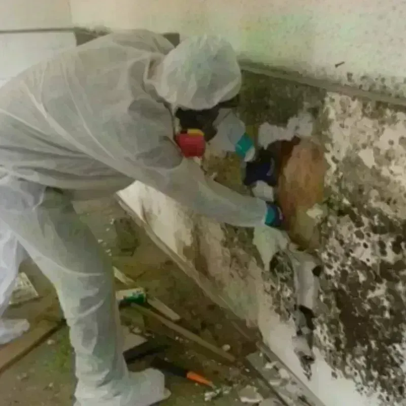 Mold Remediation and Removal in Rutherford County, NC