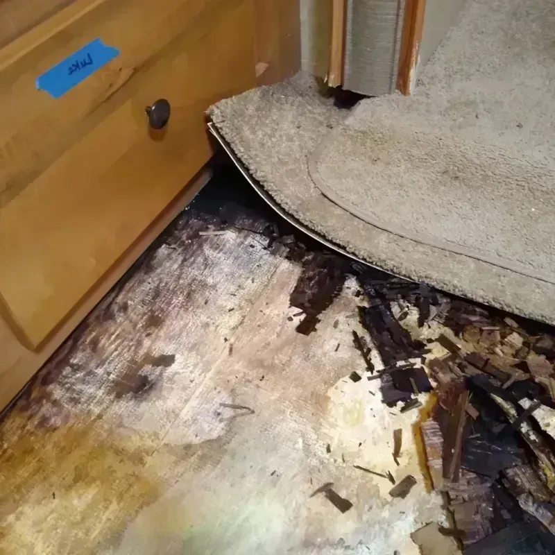 Wood Floor Water Damage in Rutherford County, NC